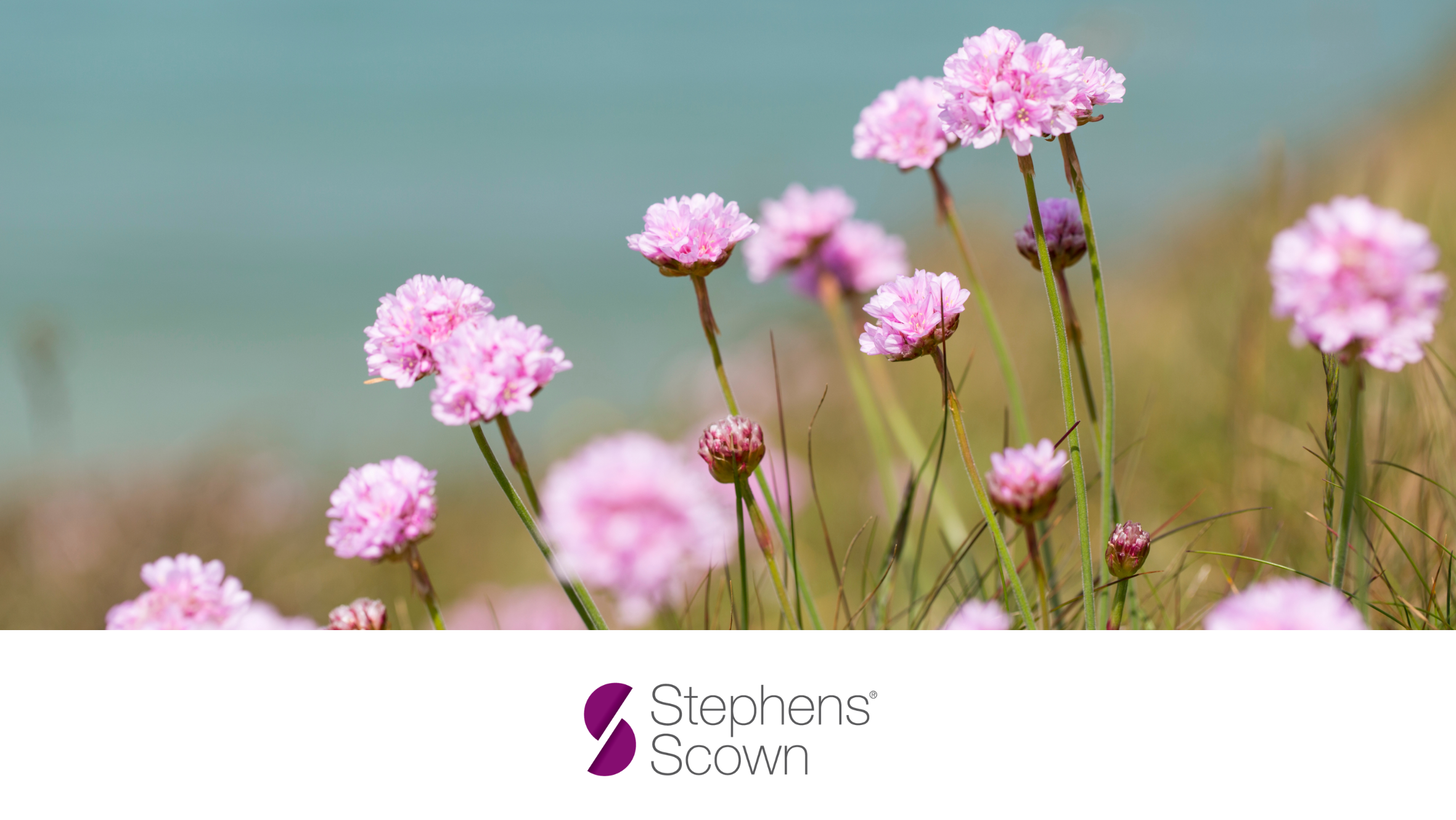 Concept for - Employment Law Update