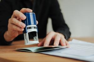 Concept for - The Social Value of Migration