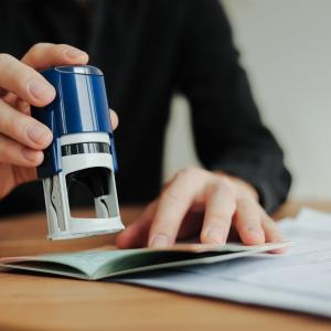 Concept for - The Social Value of Migration