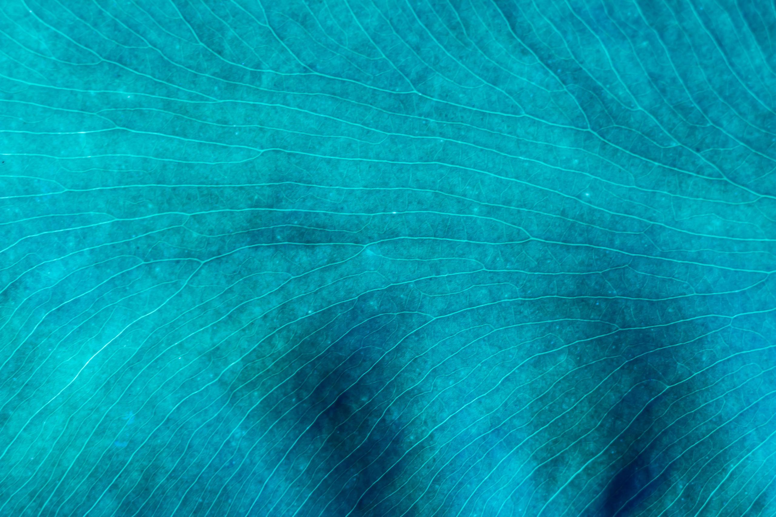 Concept for - Healthcare Leadership Event 02.06.26