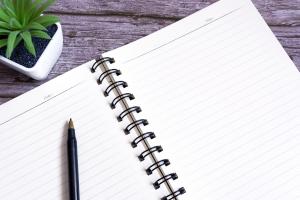 Concept for - Parenting Plans - A Practical Tool for Separated Parents
