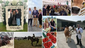 Concept for: It's Showtime - Royal Cornwall Show