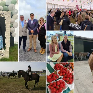 Concept for: It's Showtime - Royal Cornwall Show