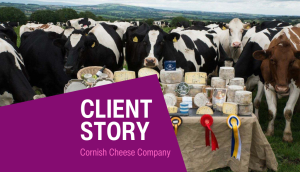 Concept for - Client Story – Cornish Cheese Company 