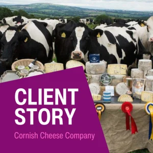 Concept for - Client Story – Cornish Cheese Company 