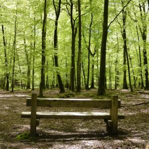 Biodiversity Net Gain and Tax