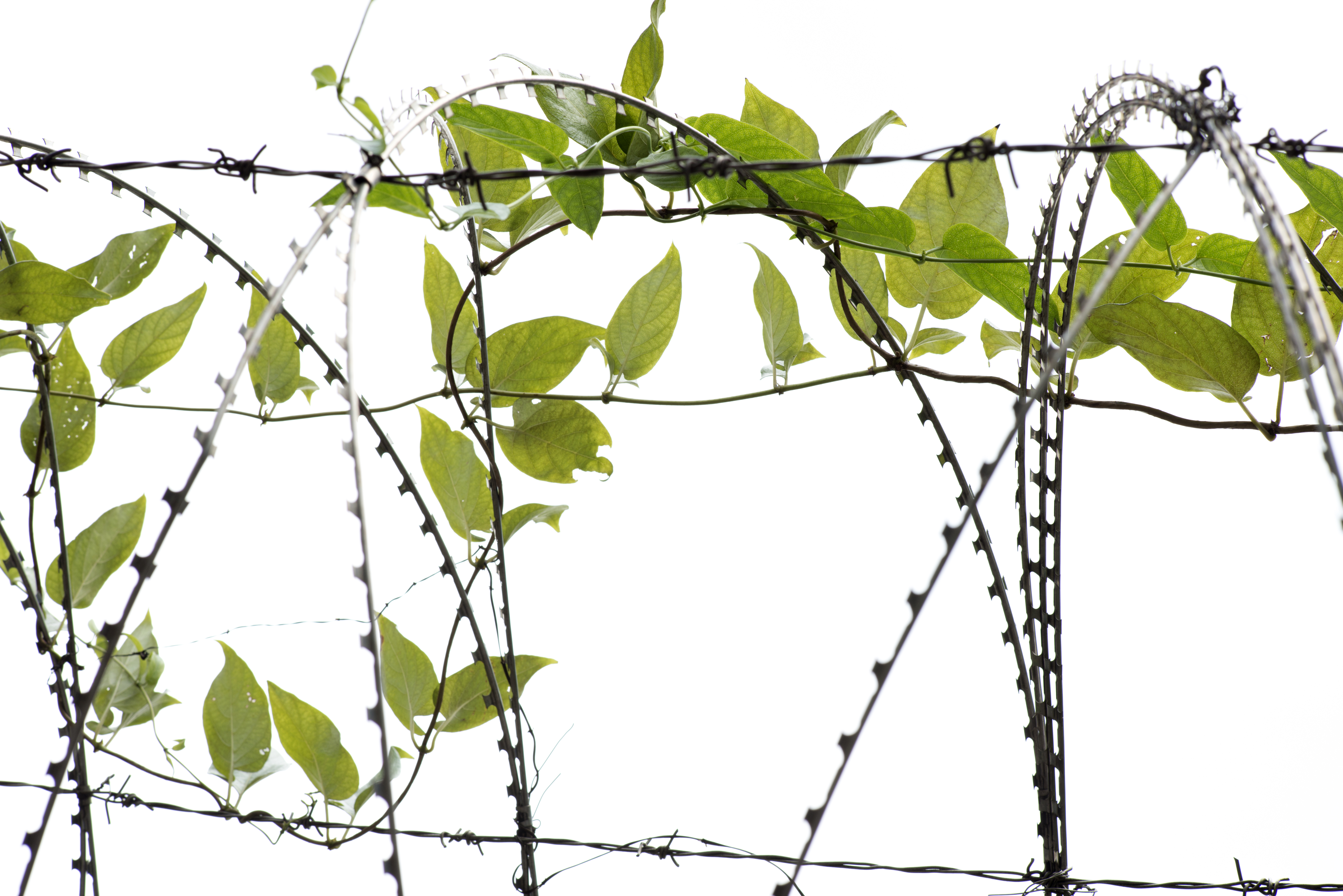 Security Consultancy Services Property Trespassing Security Consultancy Services Property Trespassing